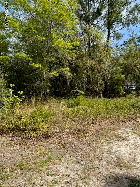 1774 Balsam Drive Sw, Supply, NC 28462 - #1