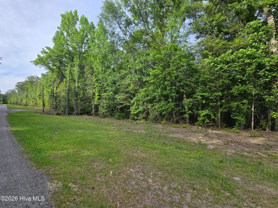 Lot 45-47 Cabins Creek Road, Vass, NC 28394 - #2