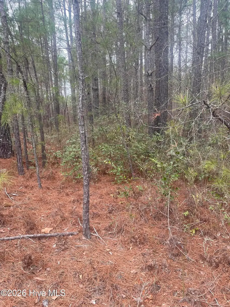 Lot #6 Bumpy Lane, Sanford, NC 27332 - #2