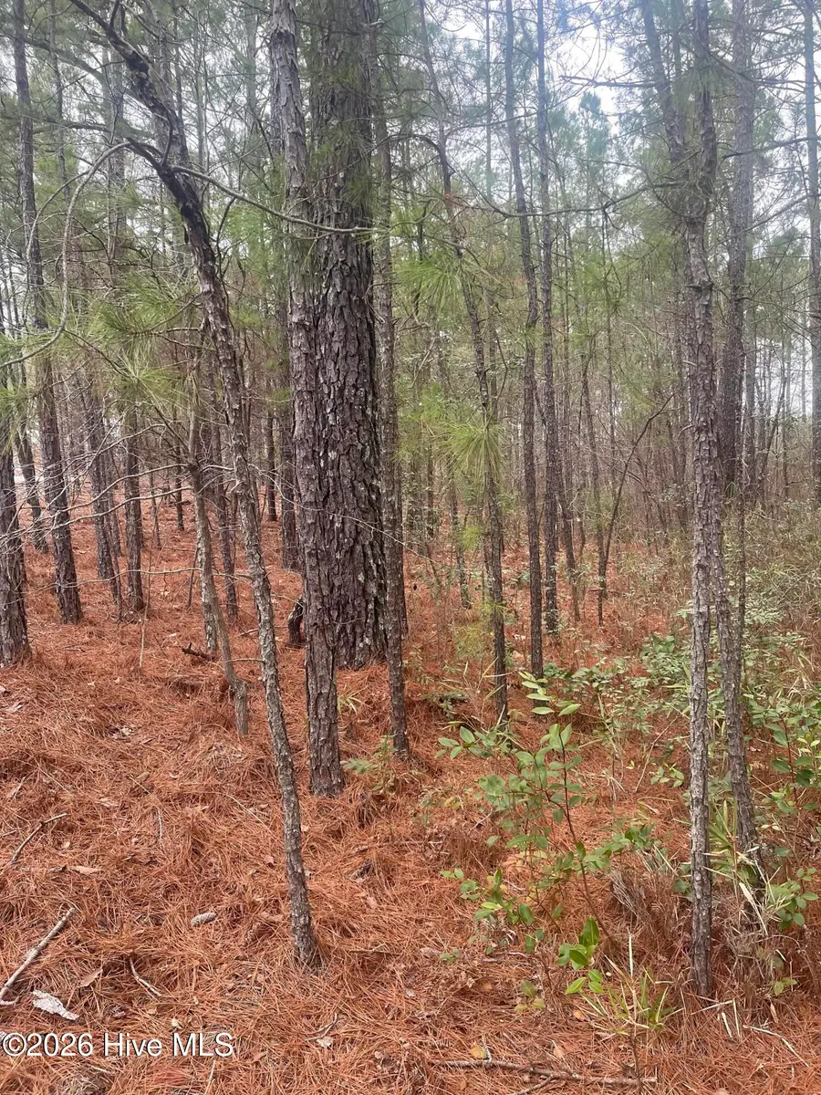 Lot #6 Bumpy Lane, Sanford, NC 27332 - #3
