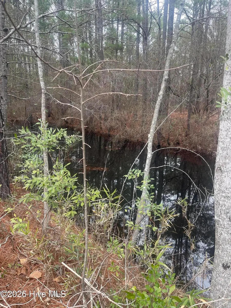 Lot # 7 Bumpy Lane, Sanford, NC 27332 - #2