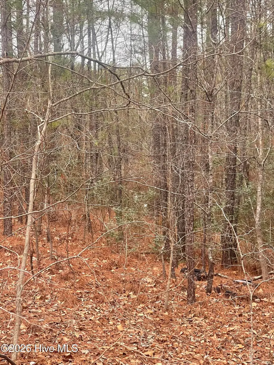 Lot # 7 Bumpy Lane, Sanford, NC 27332 - #3