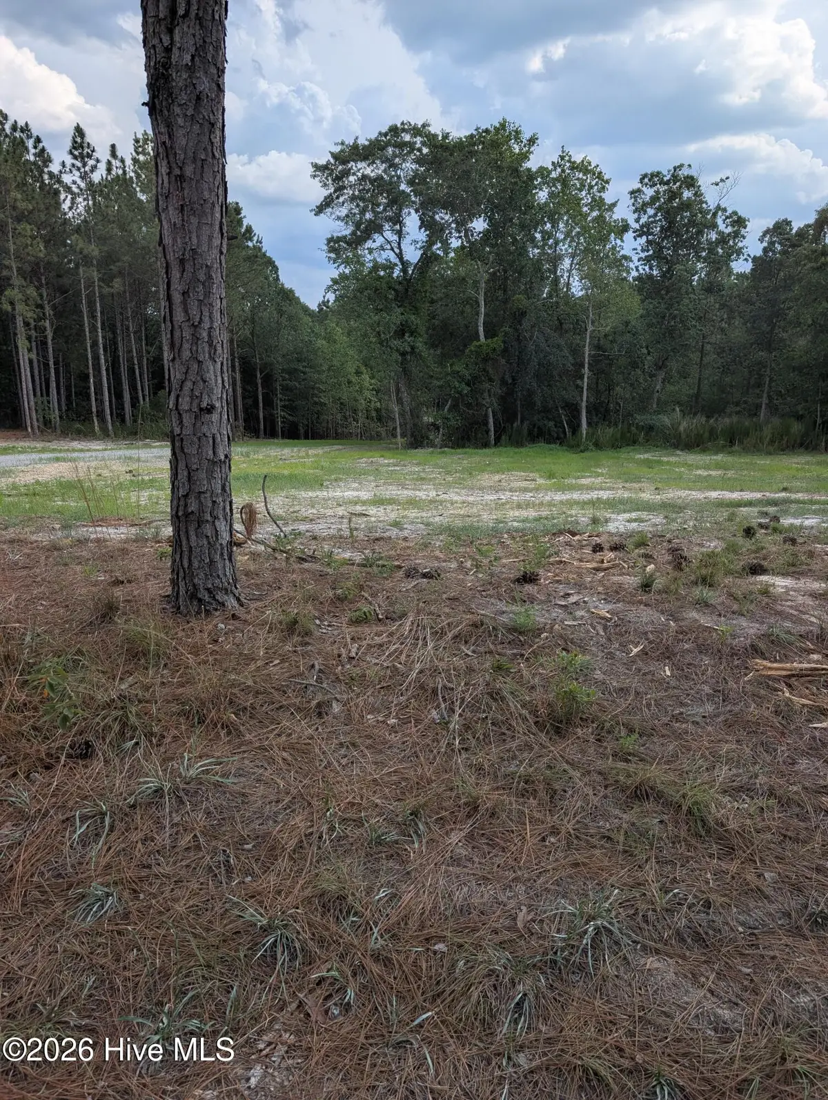 270 Charles Road, Eagle Springs, NC 27242 - #1