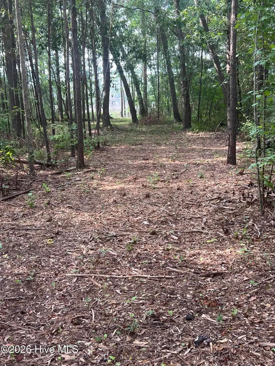 Lot 4 Cedar Lane, Belhaven, NC 27810 - #2