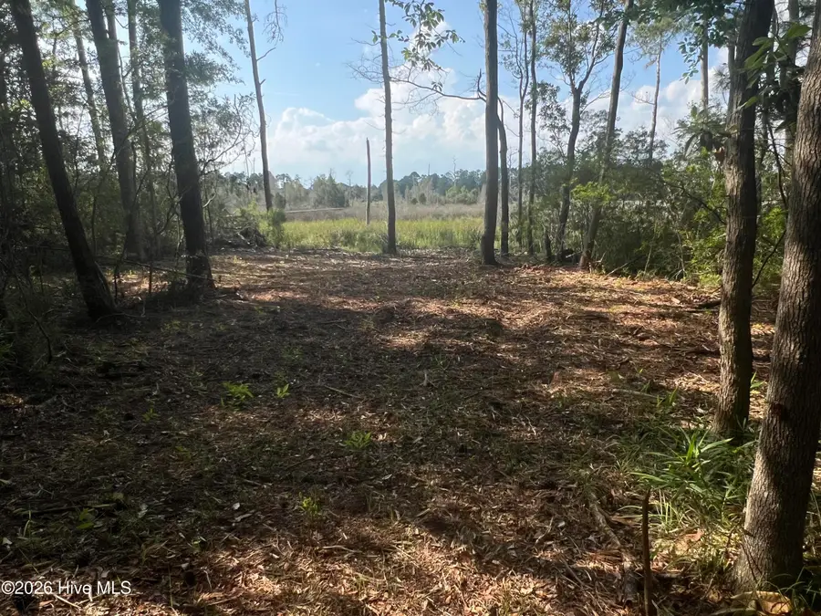 Lot 4 Cedar Lane, Belhaven, NC 27810 - #3