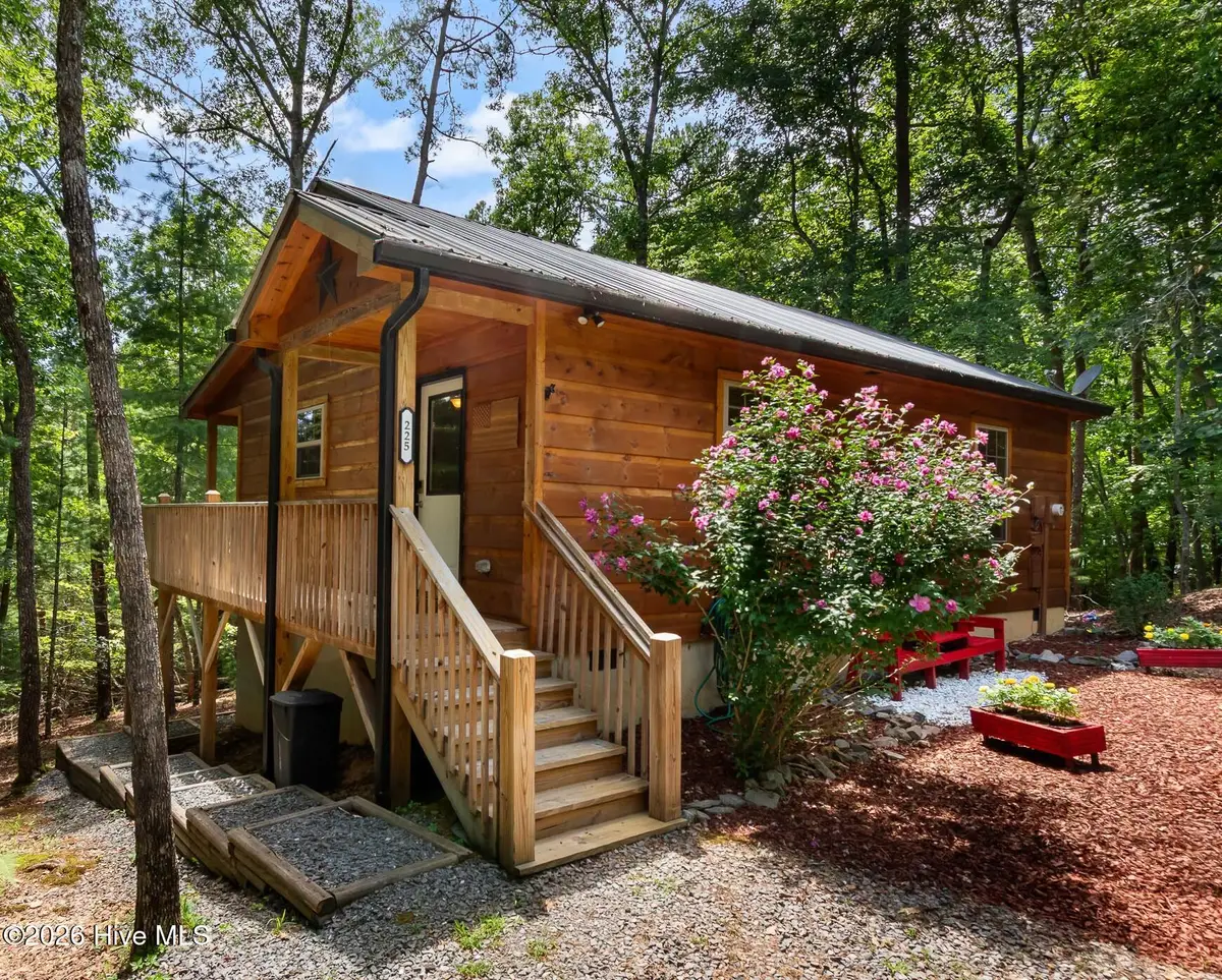 225 Dawsons Lane, Murphy, NC 28906 - #1