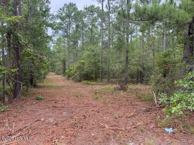 0 Nc Highway 210 Road, Currie, NC 28435 - #1