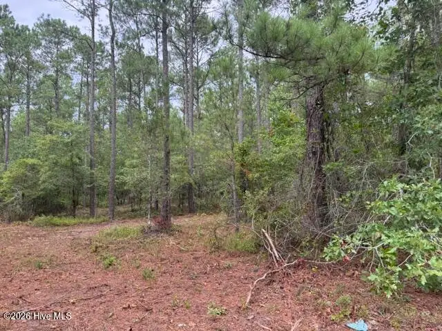 0 Nc Highway 210 Road, Currie, NC 28435 - #2
