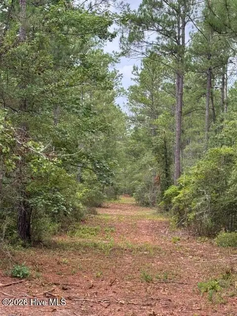 0 Nc Highway 210 Road, Currie, NC 28435 - #3