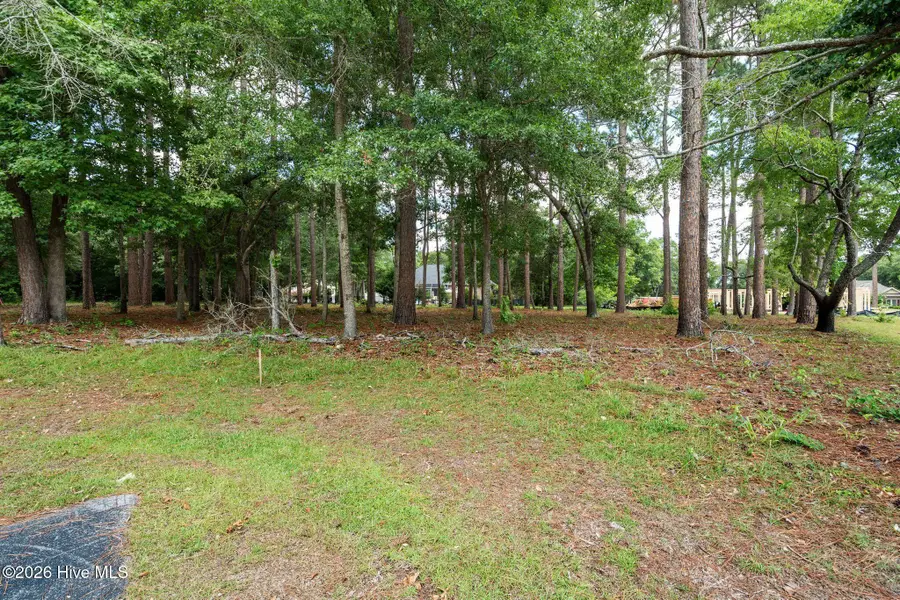 1355 Royal Colony Drive, Shallotte, NC 28470 - #3