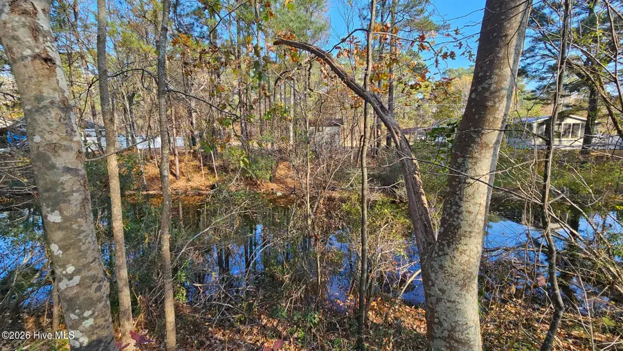 027-F Shady Lane Lane, Hertford, NC 27944 - #2