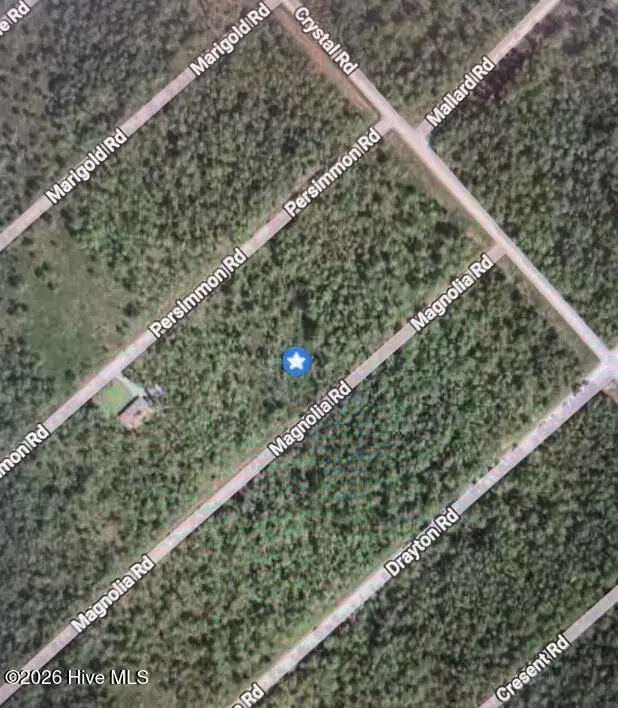 322 Magnolia Road, Boiling Spring Lakes, NC 28461 - #2