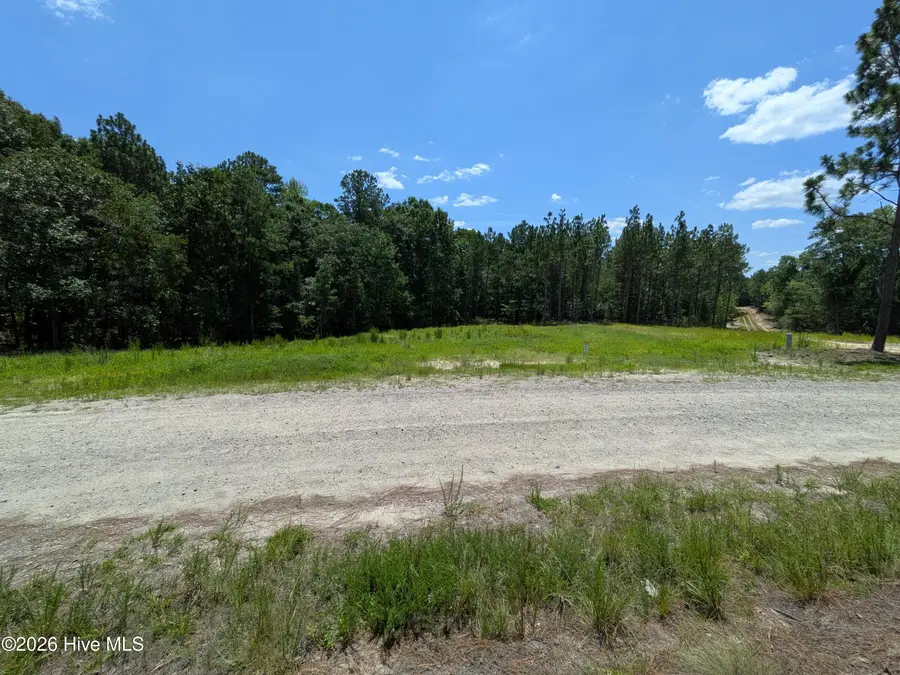 274 Charles Road, Eagle Springs, NC 27242 - #2