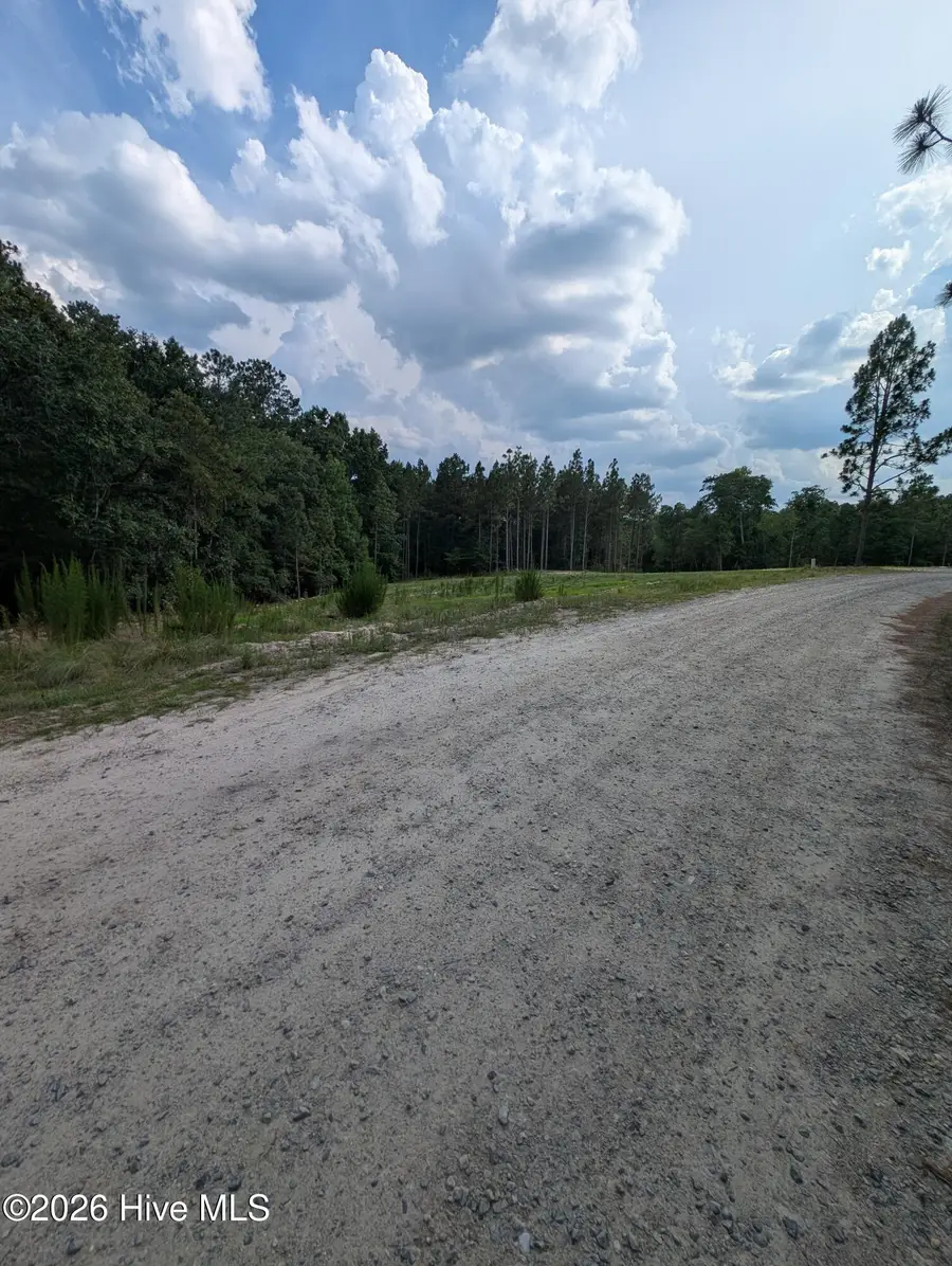 274 Charles Road, Eagle Springs, NC 27242 - #3