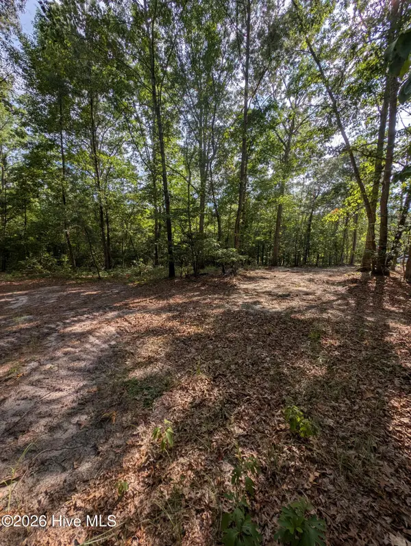Tbd Peyton Drive, Eagle Springs, NC 27242