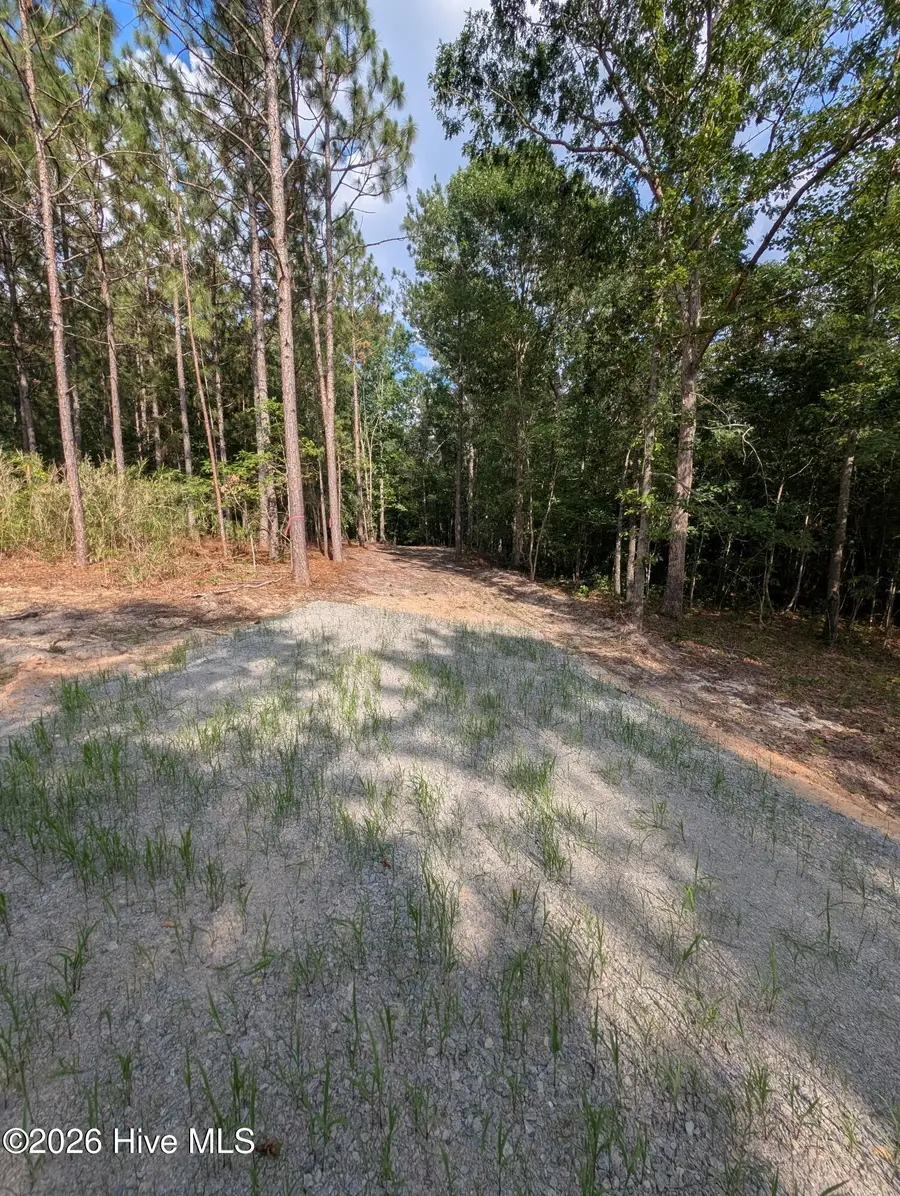 Tbd Peyton Drive, Eagle Springs, NC 27242 - #2