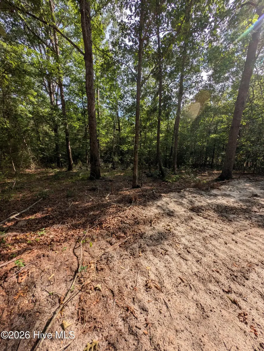 Tbd Peyton Drive, Eagle Springs, NC 27242 - #3