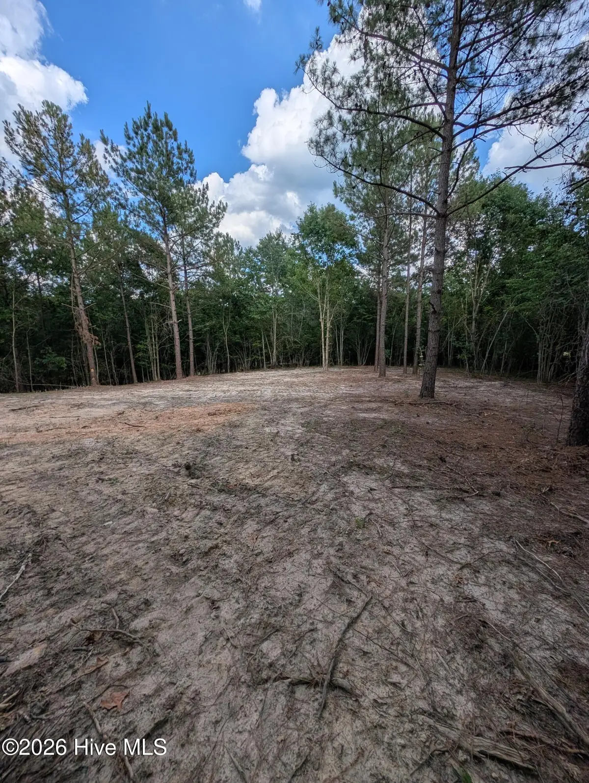 Tbd Peyton Drive, Eagle Springs, NC 27242 - #1