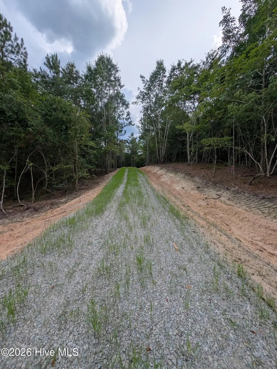 Tbd Peyton Drive, Eagle Springs, NC 27242 - #2