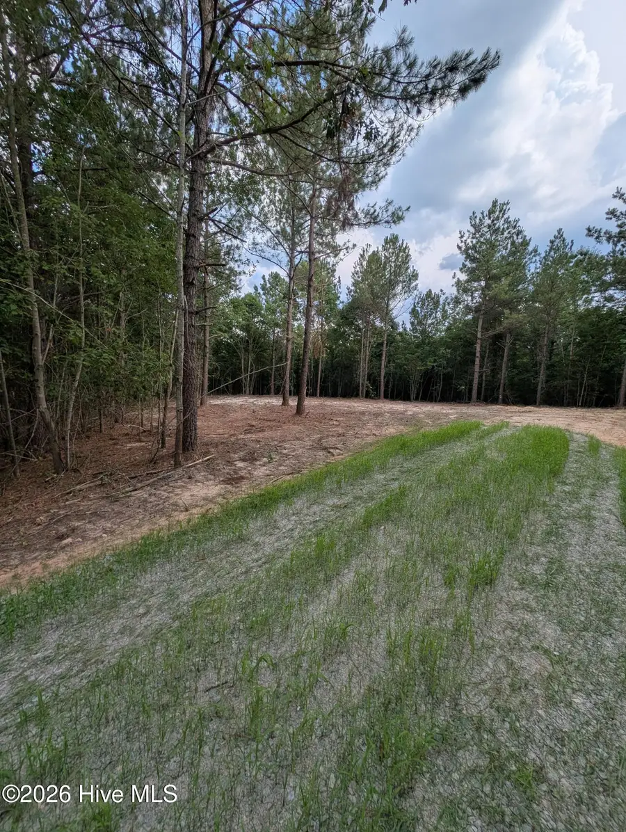 Tbd Peyton Drive, Eagle Springs, NC 27242 - #3