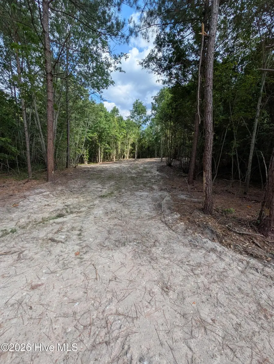 2r-4 Peyton Drive, Eagle Springs, NC 27242 - #3