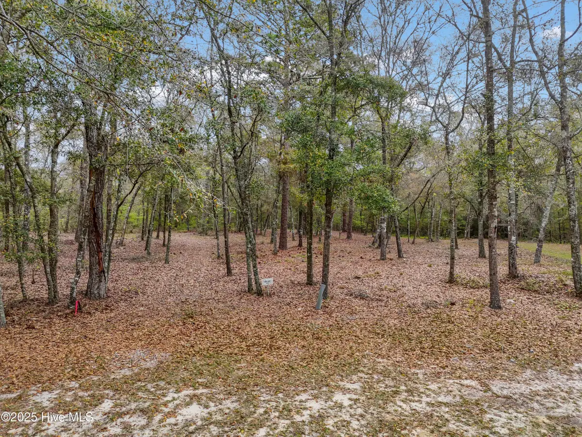 584 Asphodel Drive Sw, Supply, NC 28462 - #1