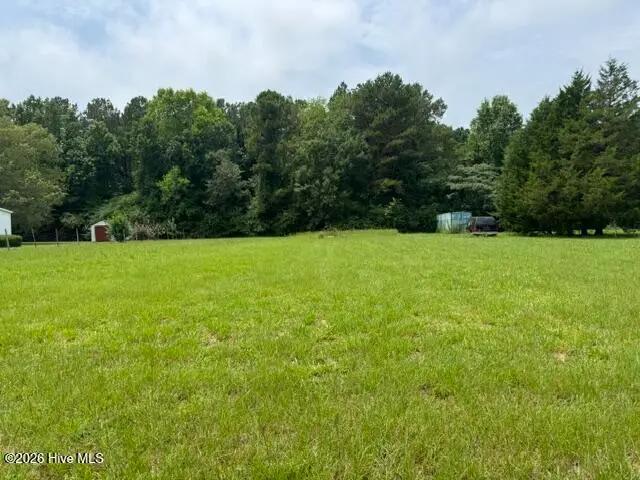 0 Shady Lane Road, Willard, NC 28478 - #1