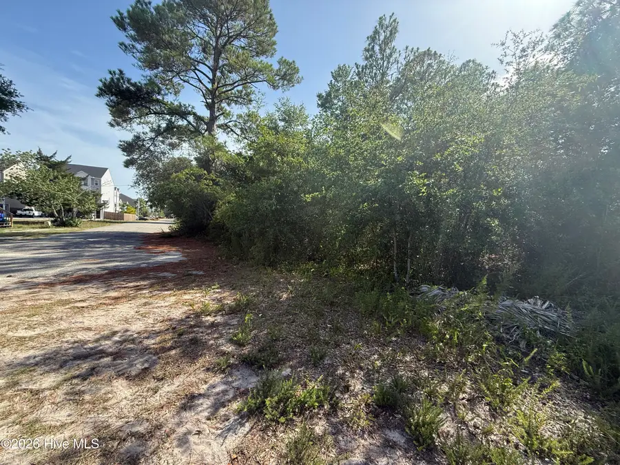 915 Blanche Avenue, Carolina Beach, NC 28428 - #3