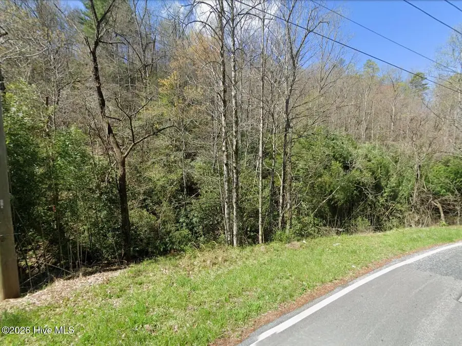 500 Hensley Cemetery Road, Whittier, NC 28789 - #2