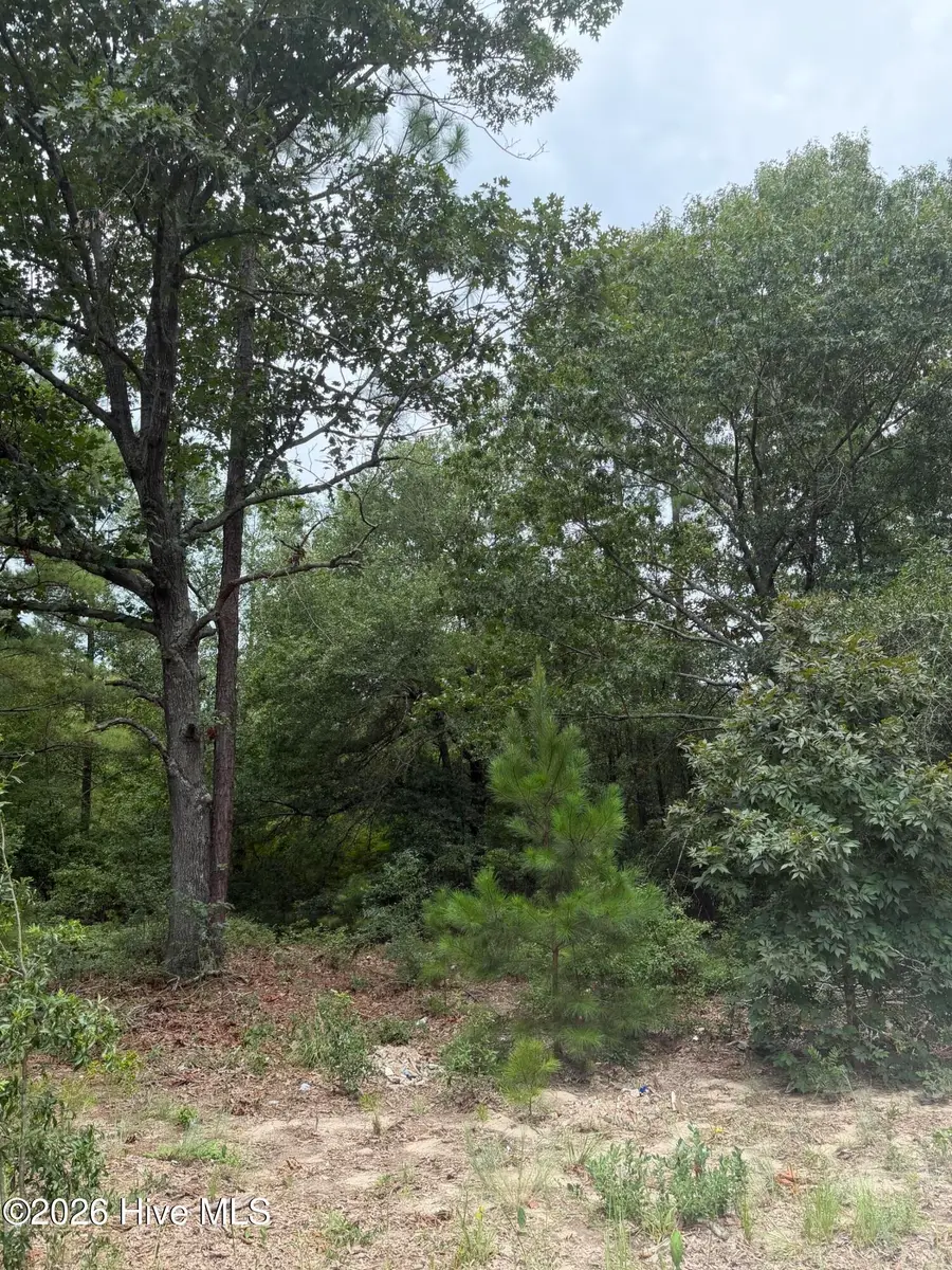 406 Douglas Drive, Beech Island, SC 29842 - #3