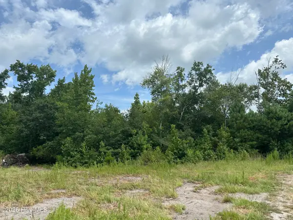 Near 99 Andrews Lake Drive, Tabor City, NC 28463