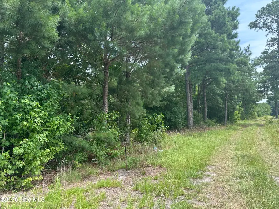 Near 99 Andrews Lake Drive, Tabor City, NC 28463 - #2