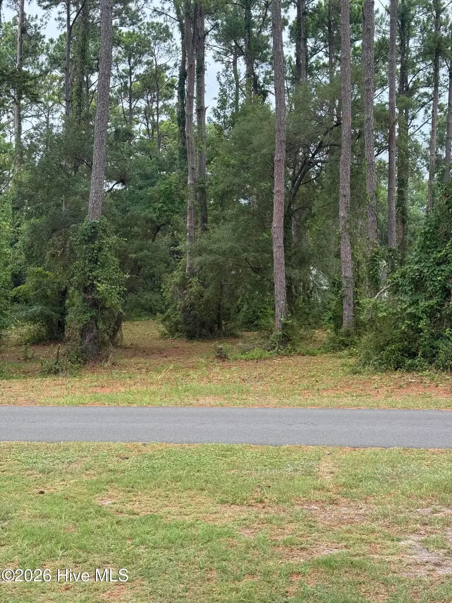 9010 Ocean Harbour Golf Club Drive Sw, Calabash, NC 28467 - #2