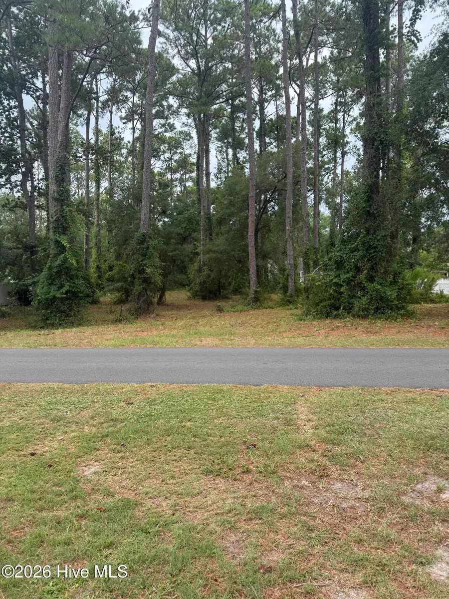 9010 Ocean Harbour Golf Club Drive Sw, Calabash, NC 28467 - #3