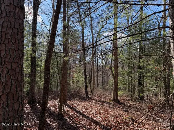 Lot 20 Yellow Maple Lane, Murphy, NC 28906