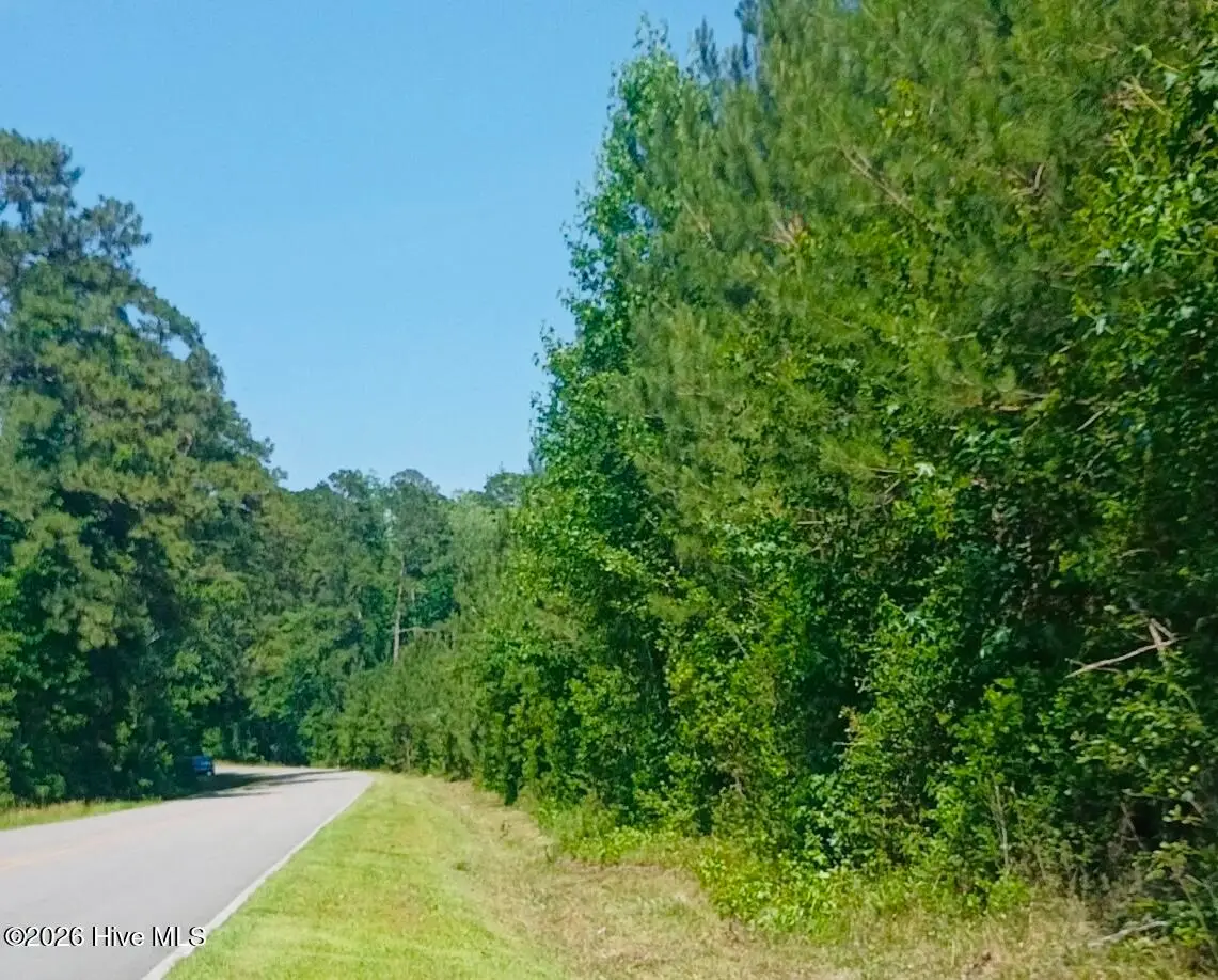 82 Acres Point Caswell Rd Road, Atkinson, NC 28421 - #1