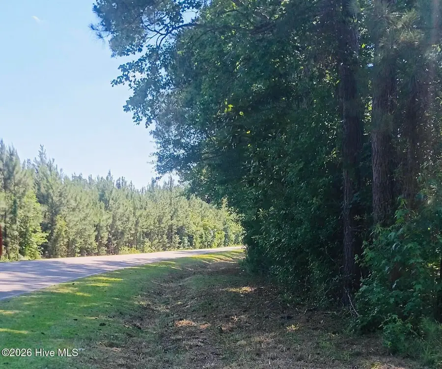 82 Acres Point Caswell Rd Road, Atkinson, NC 28421 - #3