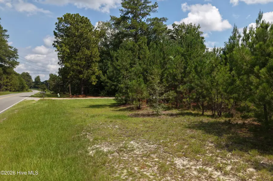 01581 Doubs Chapel Road, West End, NC 27376 - #3