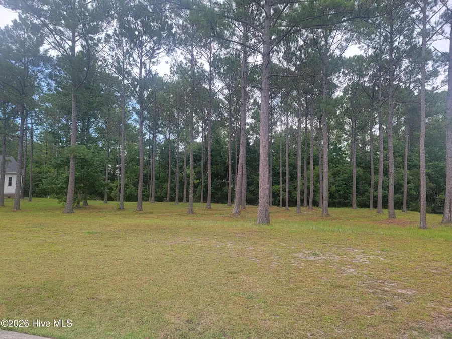 6368 Blenhiem Place Sw, Ocean Isle Beach, NC 28469 - #3