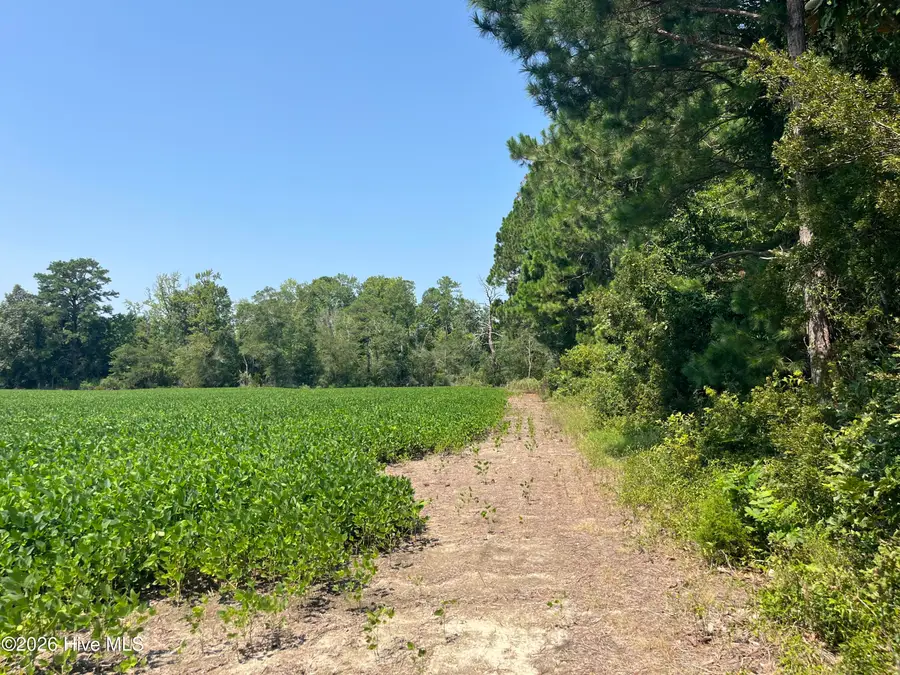 94 Whortonsville Road, Merritt, NC 28556 - #2