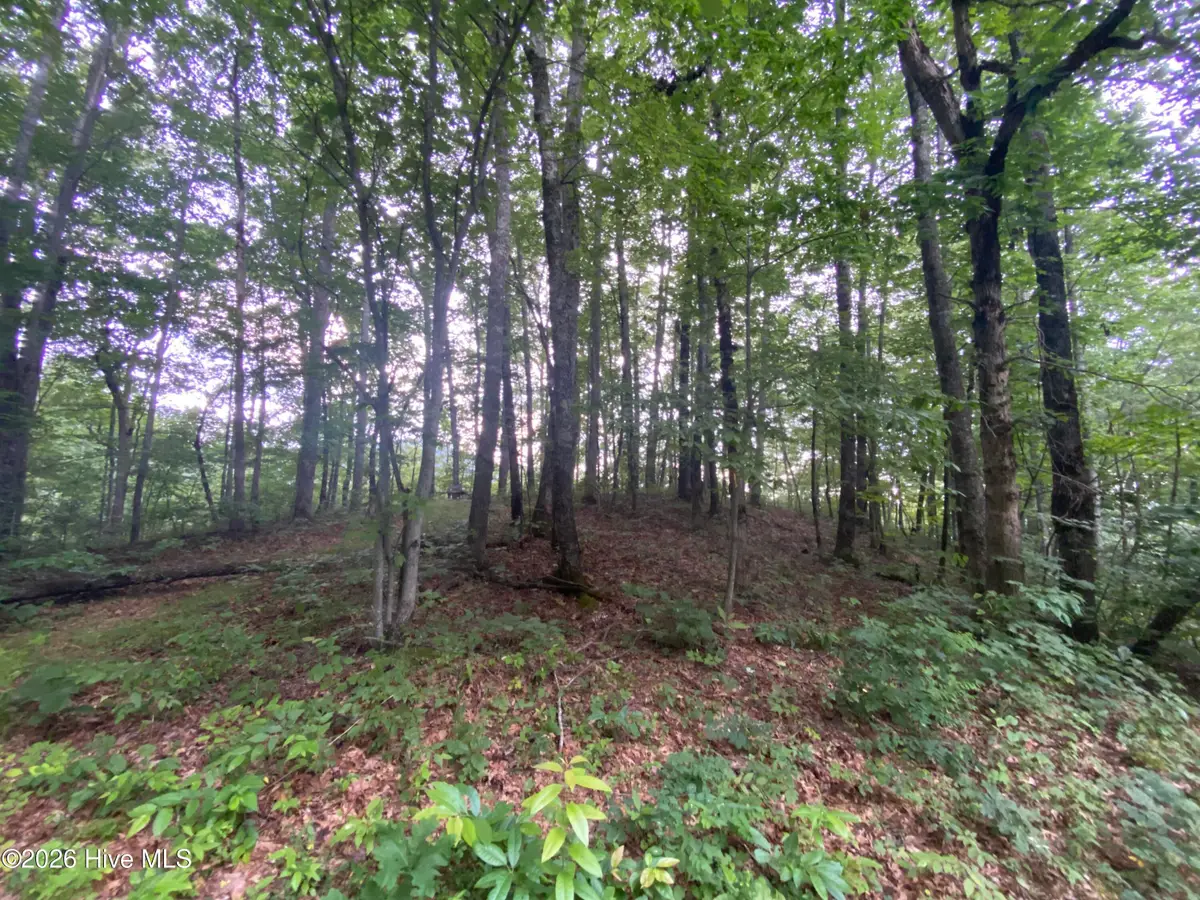 0 Red Bird Drive, Hayesville, NC 28904 - #1