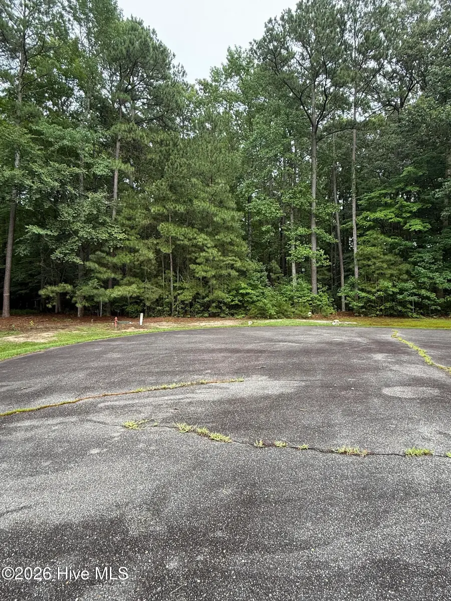 Lot 78 Roberta Drive, Hertford, NC 27944 - #3