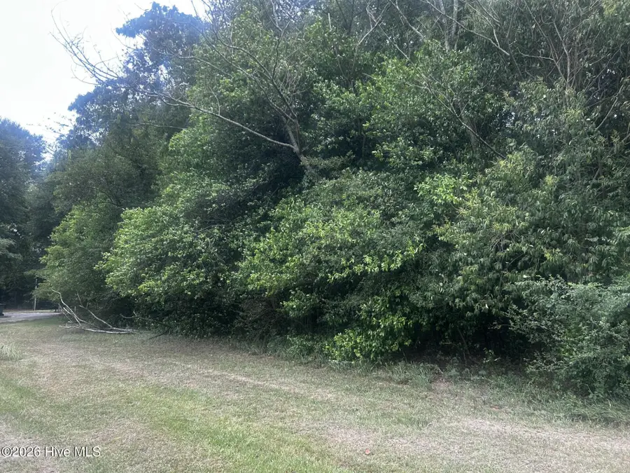 003 S 22nd Avenue, Dillon, SC 29536 - #3