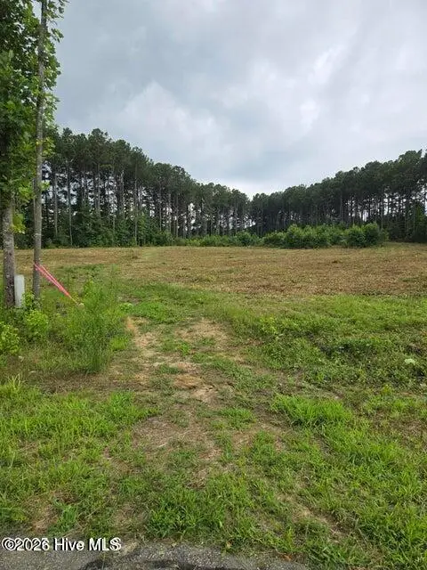 Lot 51 Roseheath Court, Bailey, NC 27807