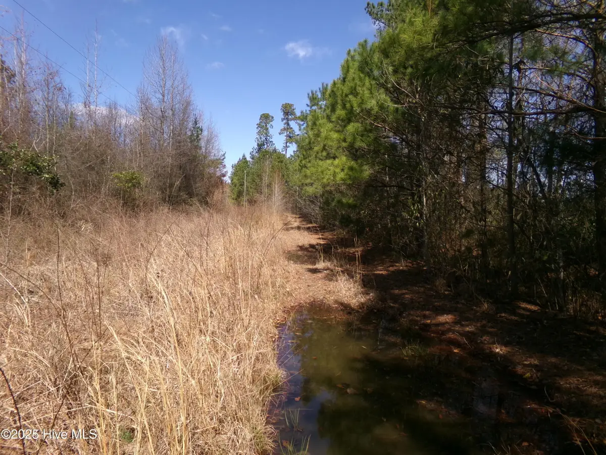 4766 Old Wire Road, Red Springs, NC 28377 - #1