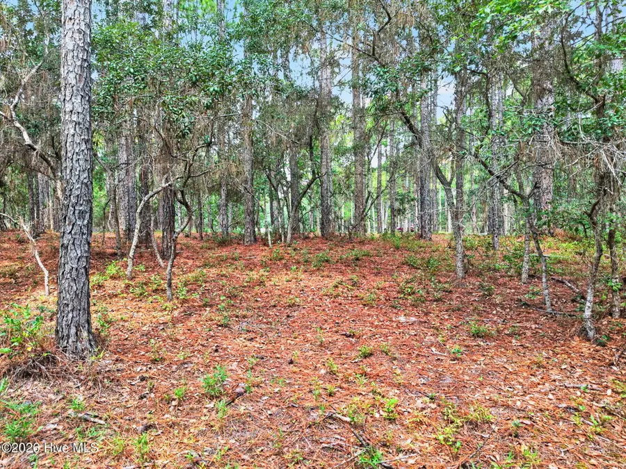539 Verona Pointe Se, Bolivia, NC 28422 - #3