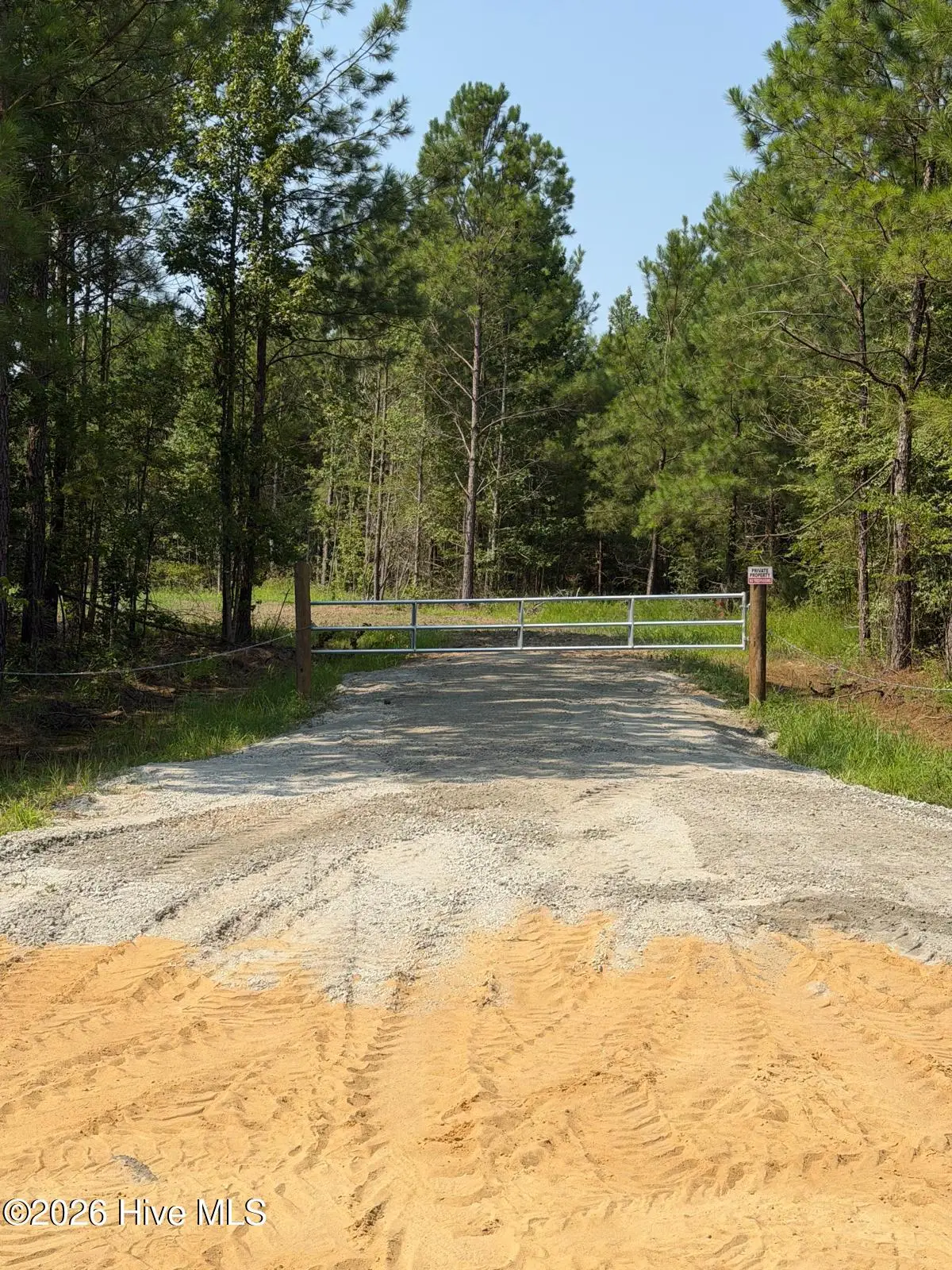 0 Netherland Road, Midville, GA 30441 - #1