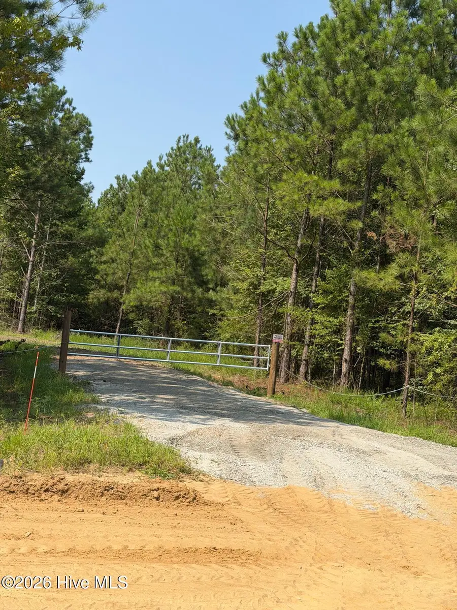 0 Netherland Road, Midville, GA 30441 - #3