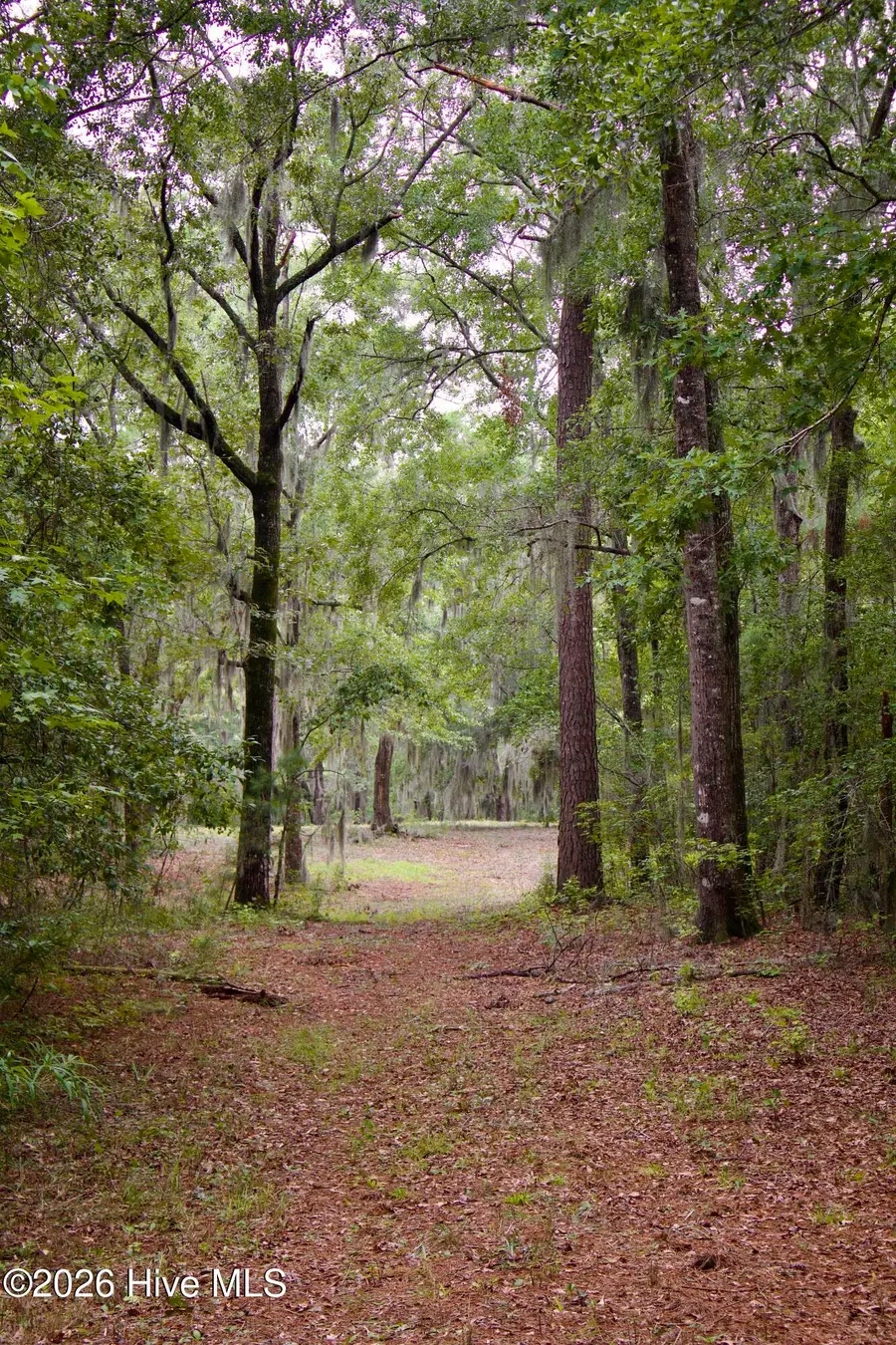 385 Sand Ridge Road, New Bern, NC 28560 - #2