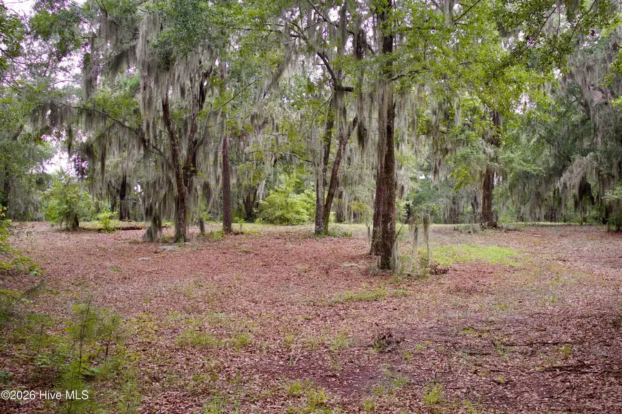 385 Sand Ridge Road, New Bern, NC 28560 - #3